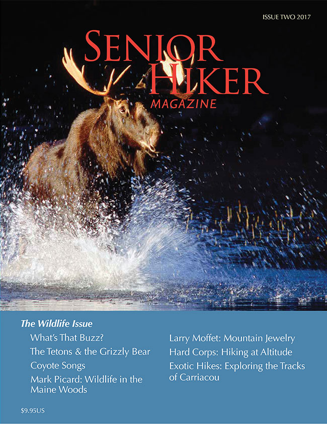 magazine-cover-2