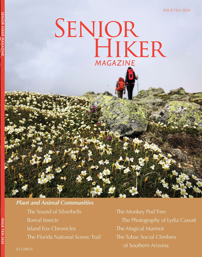 IssueTen_cover